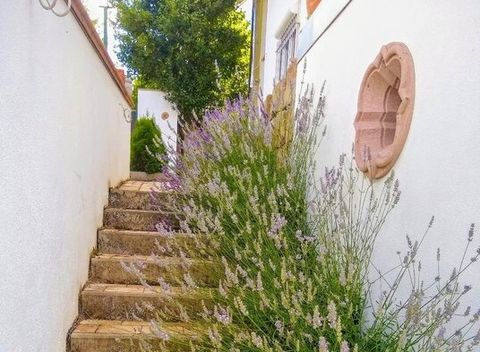 Aufnahme vom mediterranen Garten